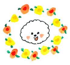 Bichon Frise fluffy dogs sticker #7898540