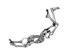 just bones4 sticker #7898834