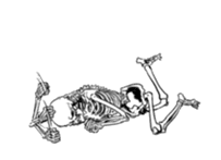 just bones4 sticker #7898835