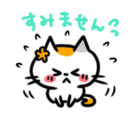 "Nyankorinzu" The Cats of daily sticker sticker #7898977