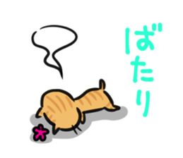 "Nyankorinzu" The Cats of daily sticker sticker #7898984