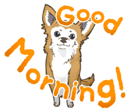 I Love Chihuahua Sticker sticker #7901188