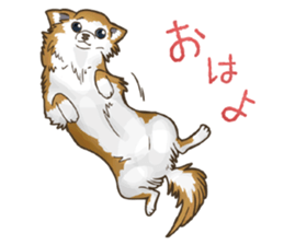 I Love Chihuahua Sticker sticker #7901189