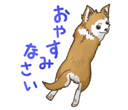 I Love Chihuahua Sticker sticker #7901190