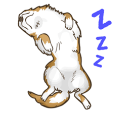 I Love Chihuahua Sticker sticker #7901191