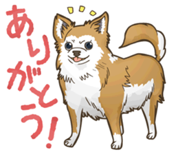 I Love Chihuahua Sticker sticker #7901193