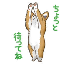 I Love Chihuahua Sticker sticker #7901196