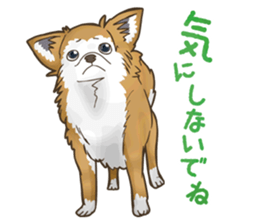 I Love Chihuahua Sticker sticker #7901199