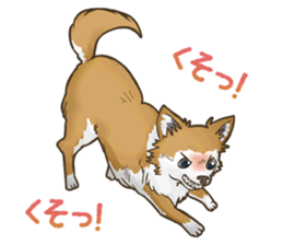 I Love Chihuahua Sticker sticker #7901203
