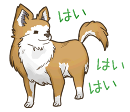 I Love Chihuahua Sticker sticker #7901205