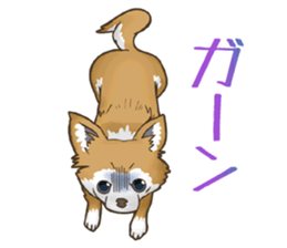I Love Chihuahua Sticker sticker #7901206