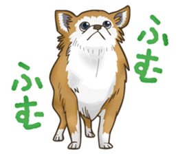 I Love Chihuahua Sticker sticker #7901208