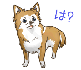 I Love Chihuahua Sticker sticker #7901209