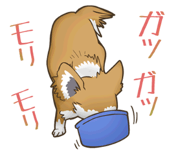 I Love Chihuahua Sticker sticker #7901211