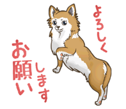 I Love Chihuahua Sticker sticker #7901212
