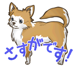 I Love Chihuahua Sticker sticker #7901213