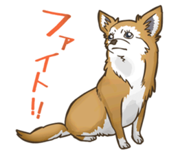 I Love Chihuahua Sticker sticker #7901214