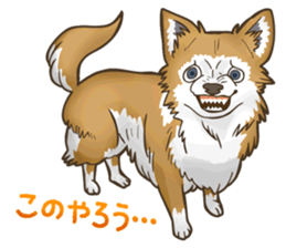 I Love Chihuahua Sticker sticker #7901215