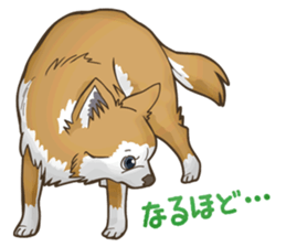 I Love Chihuahua Sticker sticker #7901217