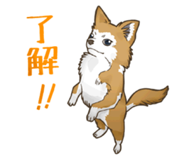 I Love Chihuahua Sticker sticker #7901218