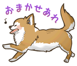 I Love Chihuahua Sticker sticker #7901219