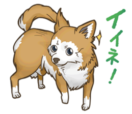 I Love Chihuahua Sticker sticker #7901222