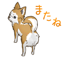 I Love Chihuahua Sticker sticker #7901226