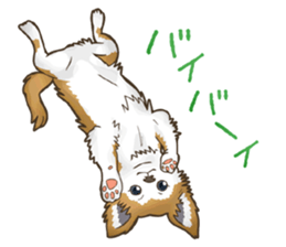 I Love Chihuahua Sticker sticker #7901227