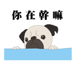 CiaoBa sticker #7901584