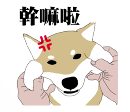 CiaoBa sticker #7901616