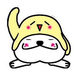 Hat to manipulate dog