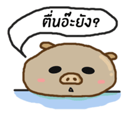 Moo huameng (Thai version) sticker #7904740
