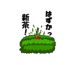 OCHA STORY - Cutea and Yunomin - sticker #7904856