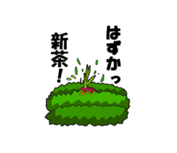 OCHA STORY - Cutea and Yunomin - sticker #7904856