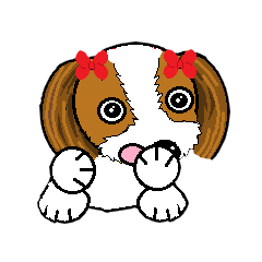 I Love cute Shih Tzu2