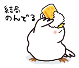 White chicken "DA where liquor is good" sticker #7907462