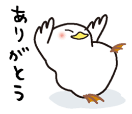 White chicken "DA where liquor is good" sticker #7907464