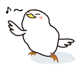 White chicken "DA where liquor is good" sticker #7907471