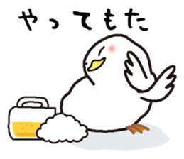 White chicken "DA where liquor is good" sticker #7907474