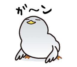 White chicken "DA where liquor is good" sticker #7907488