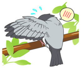 Sticker of a Java sparrow 2 sticker #7908382