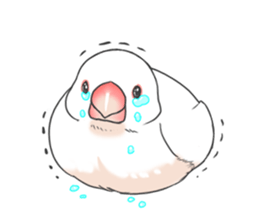 Sticker of a Java sparrow 2 sticker #7908385