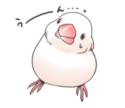 Sticker of a Java sparrow 2 sticker #7908390