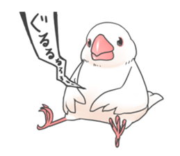 Sticker of a Java sparrow 2 sticker #7908393
