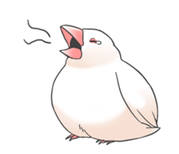 Sticker of a Java sparrow 2 sticker #7908396