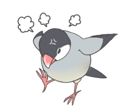 Sticker of a Java sparrow 2 sticker #7908408