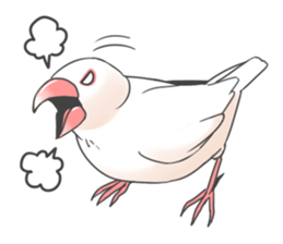 Sticker of a Java sparrow 2 sticker #7908414