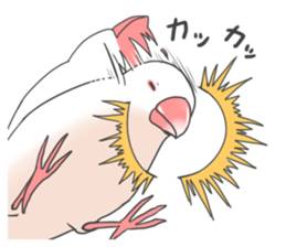 Sticker of a Java sparrow 2 sticker #7908416