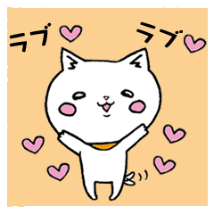 Too dependent cat daily life