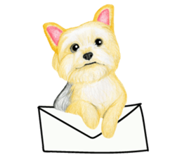 Yorkshire Terrier sticker2 sticker #7909980